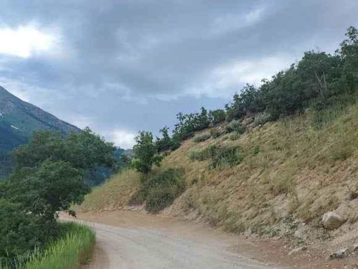 Silver Lake Road trail photo