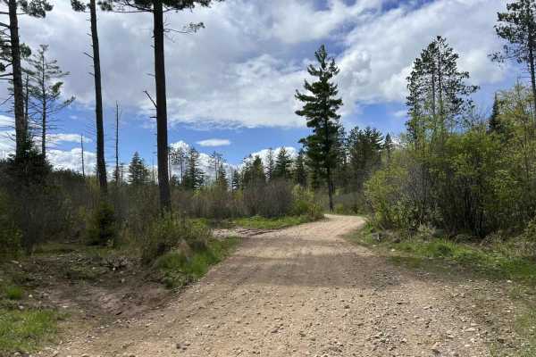 Starks Settlement Road Nicolet State Trail Access