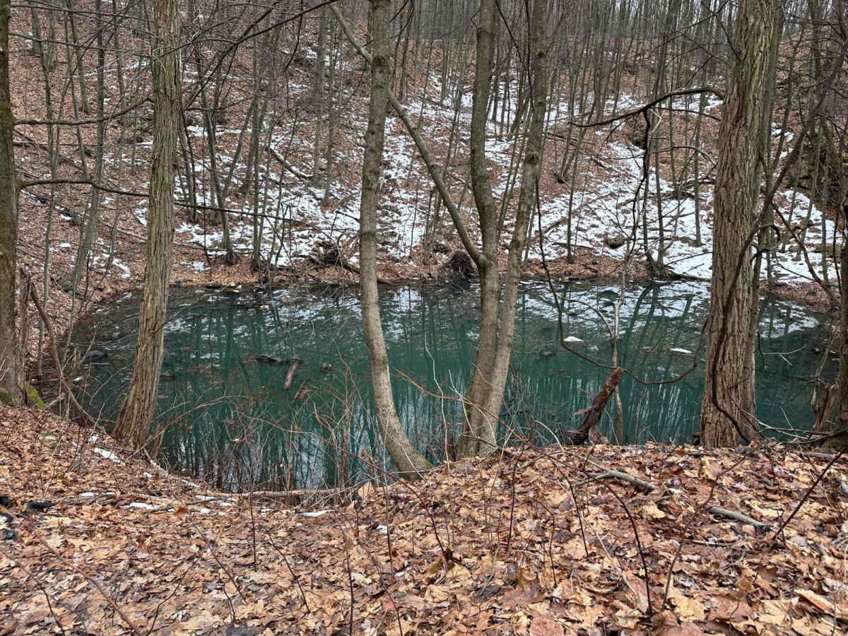 Ashland 87 photo 4