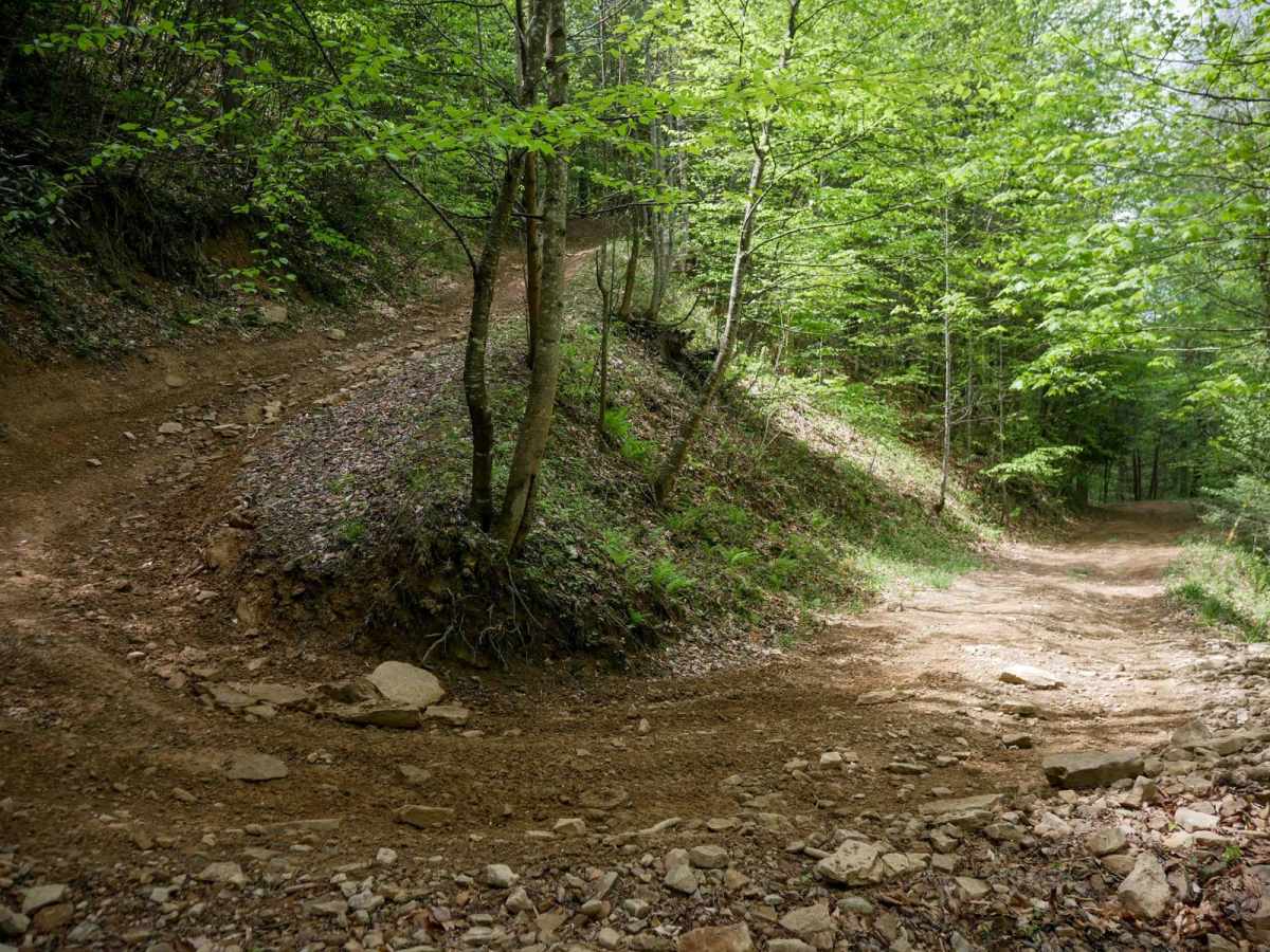 PC 61 trail photo