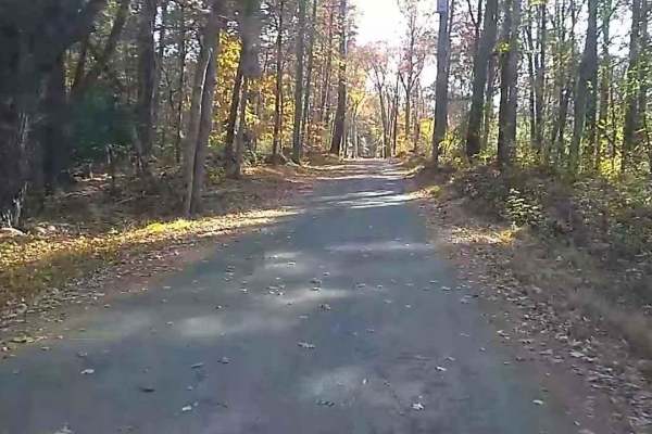 Wakefield Pond & Silver Brook Roads