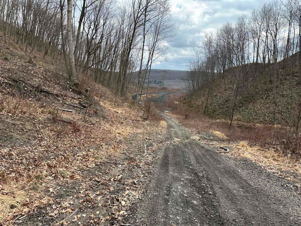 Ashland 64 photo 3