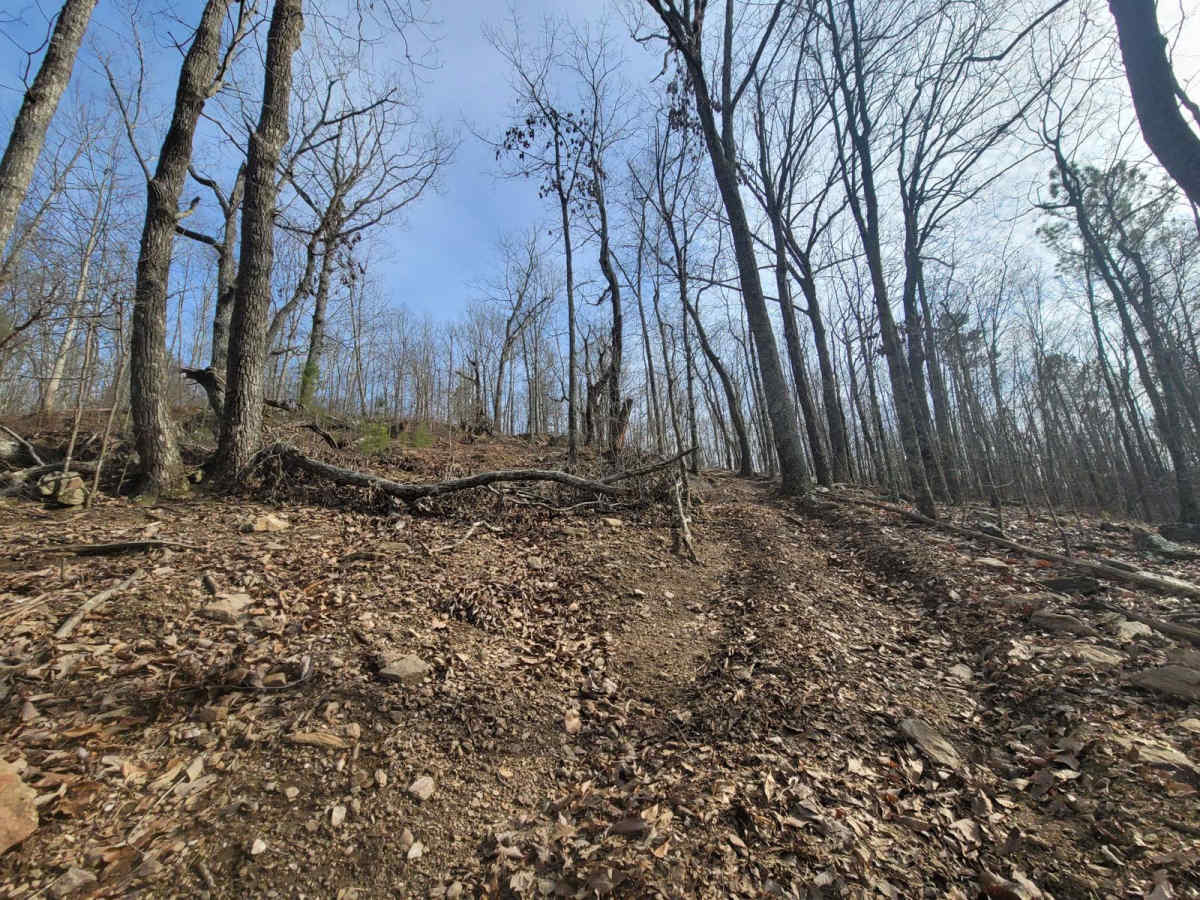 Scenic Overlook Bypass photo 2