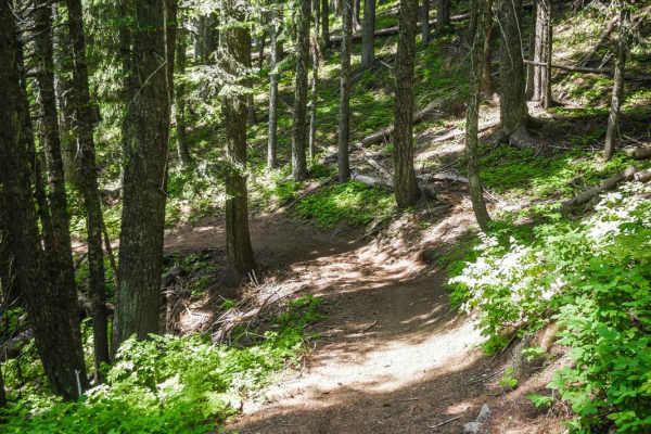 Beason Meadow No. 228 (Part 1)
