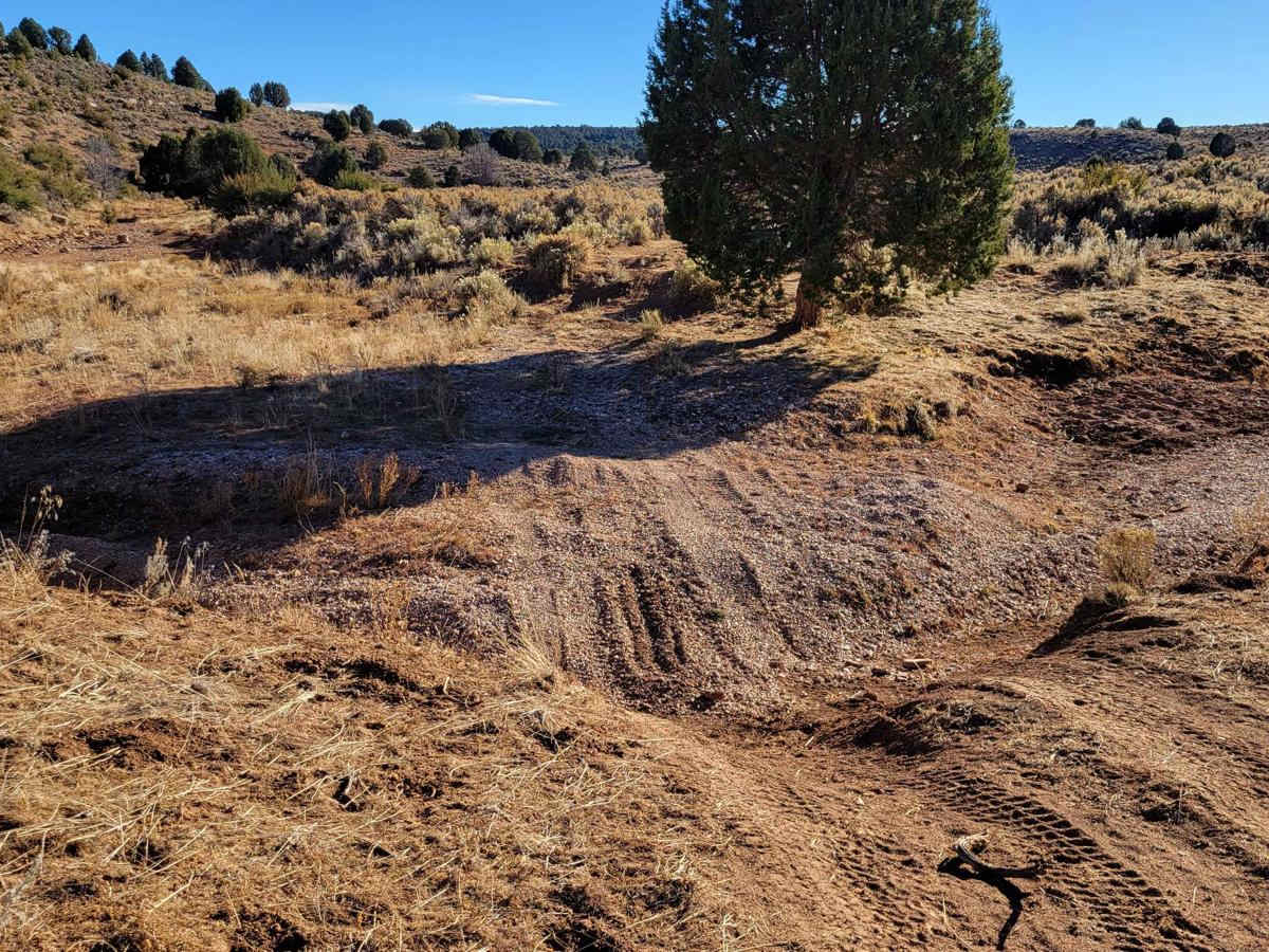 BLM 1649 photo 4