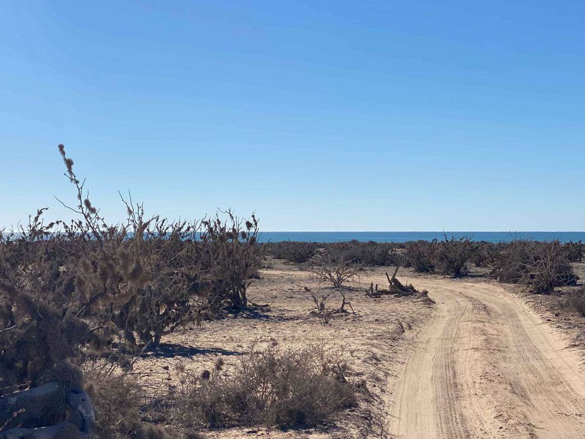 Boca Las Barrancas photo 2