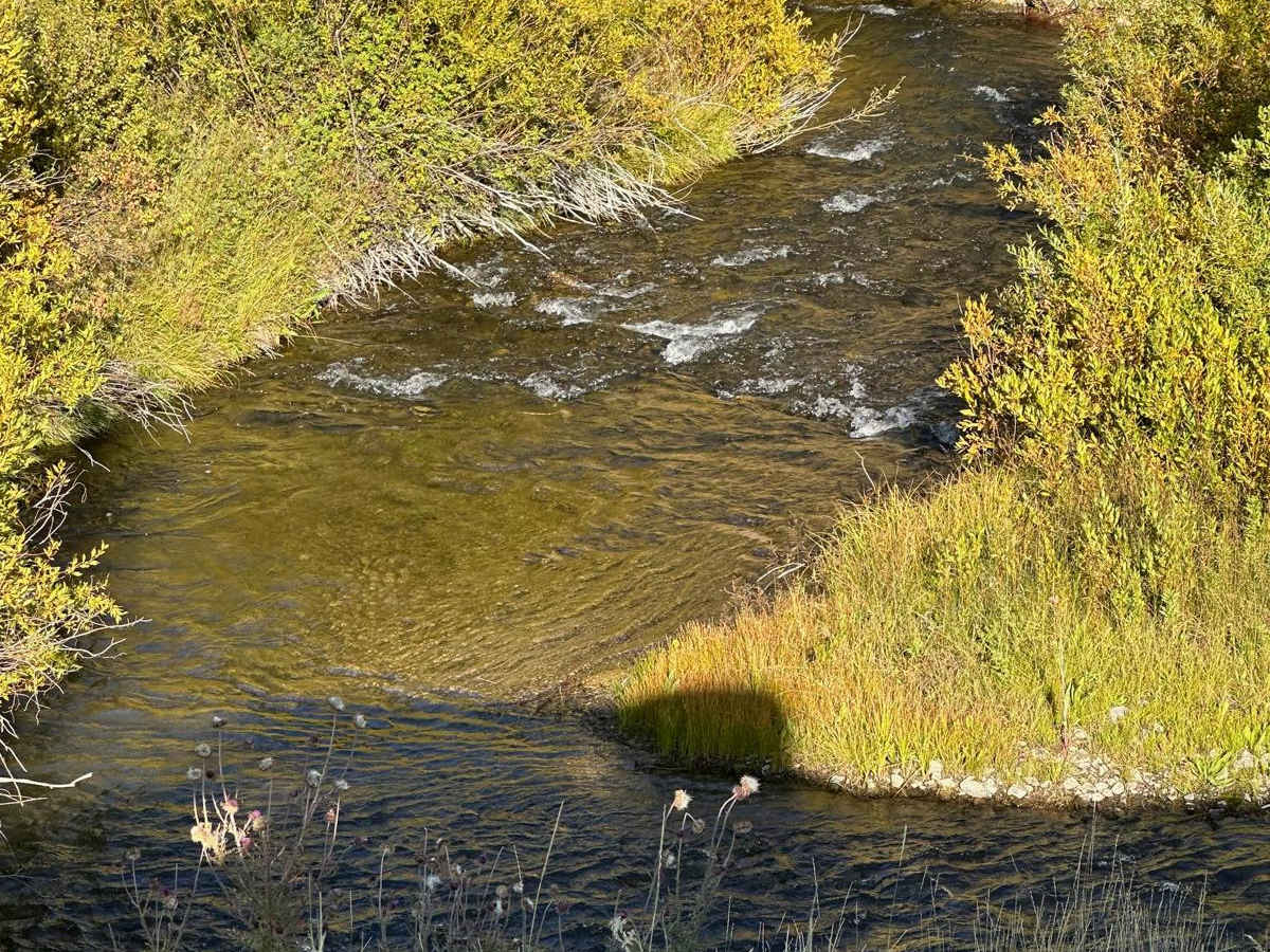 Crow Creek photo 3