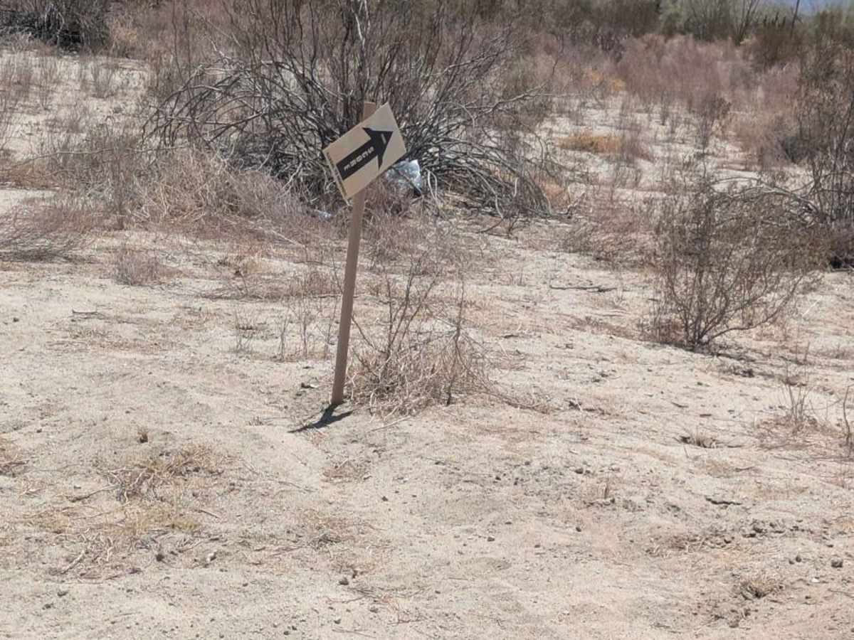 Powerline Drop photo 3