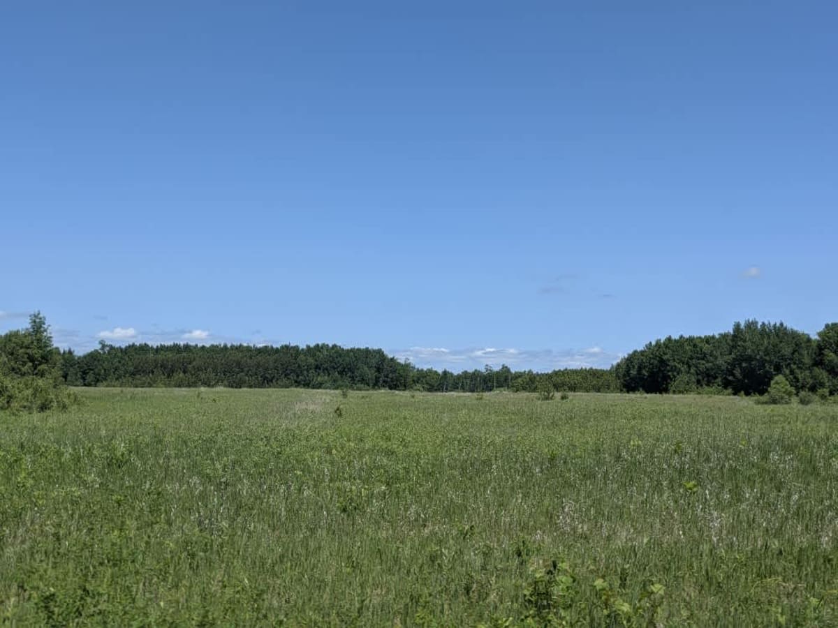 County Road 37 photo 3