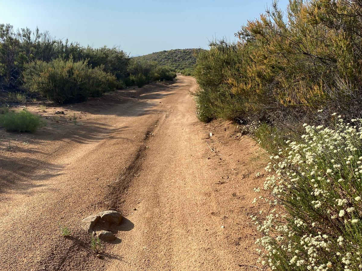 Camino La Laguna Hanson to Highway 3 photo 4
