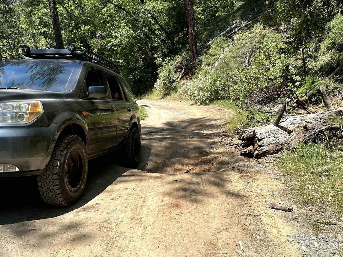 Candy Rock Road photo 4