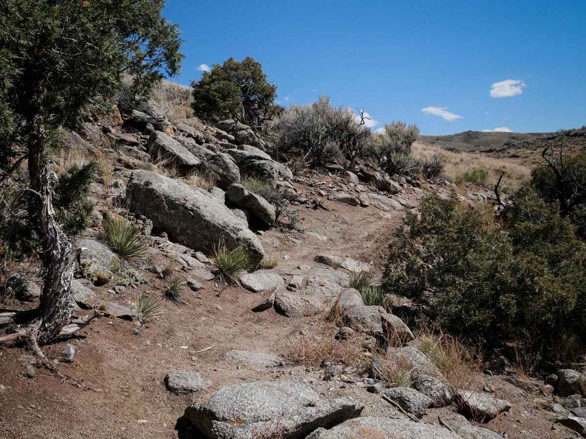 Coyote Den trail photo