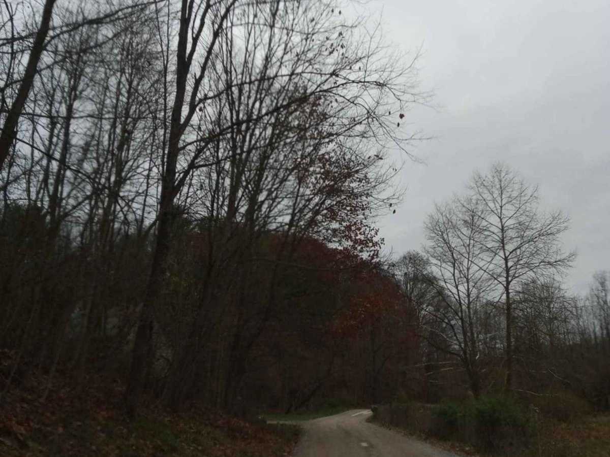 Land between the ponds photo 2