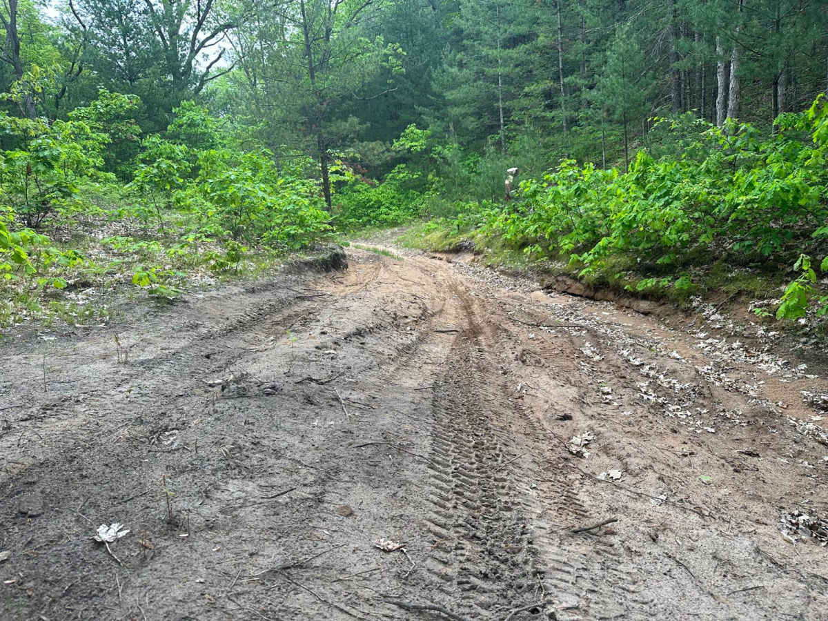 Marilla Wormhole FS 8024 trail photo