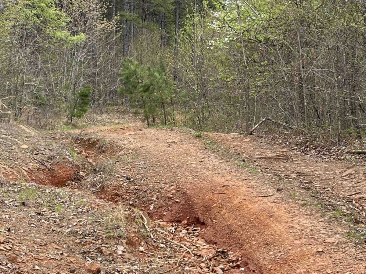 Big Bee Ridge photo 6