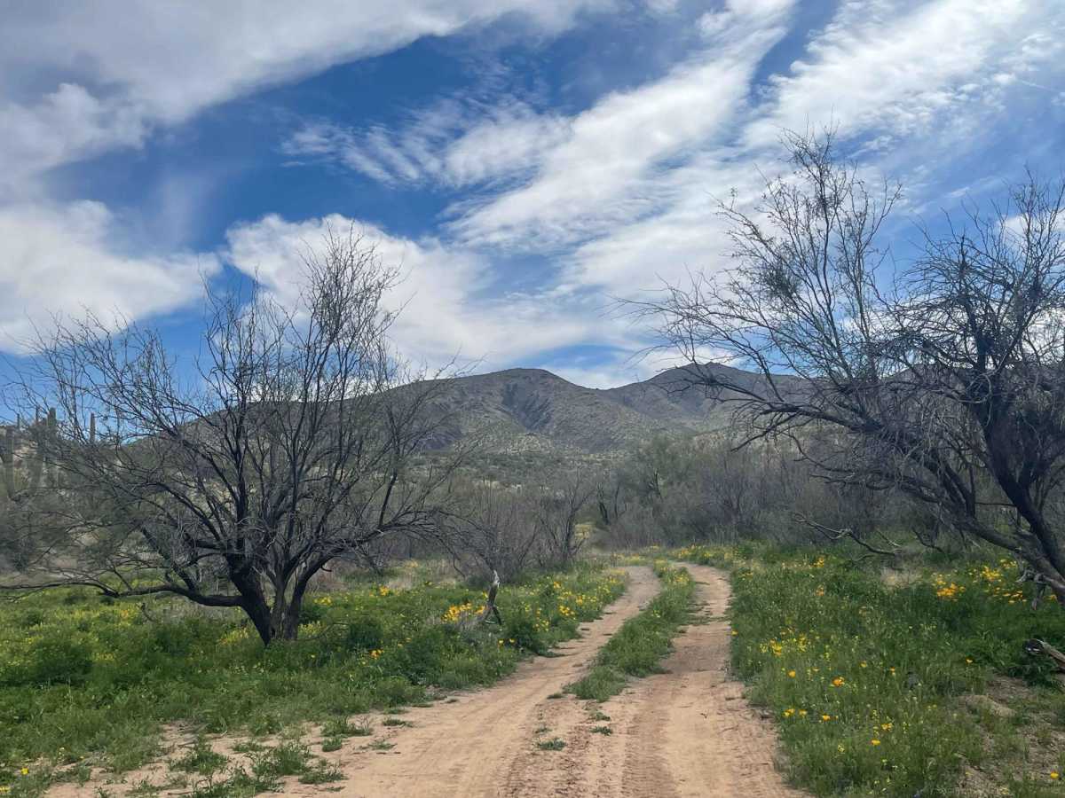 Pipeline Camp Spur trail photo