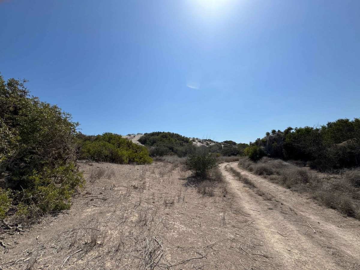 South Airport Route trail photo