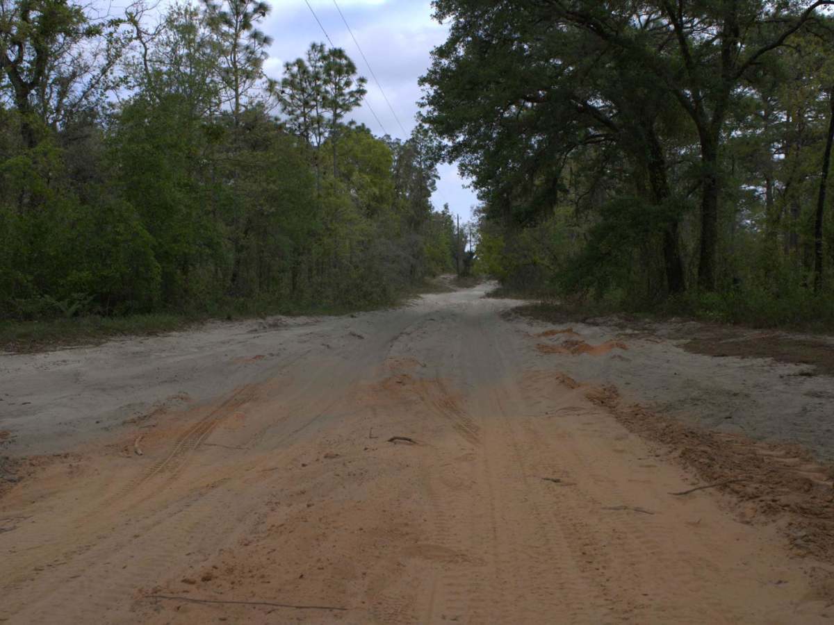 Citrus Wildlife Management | Trail 17 photo 4