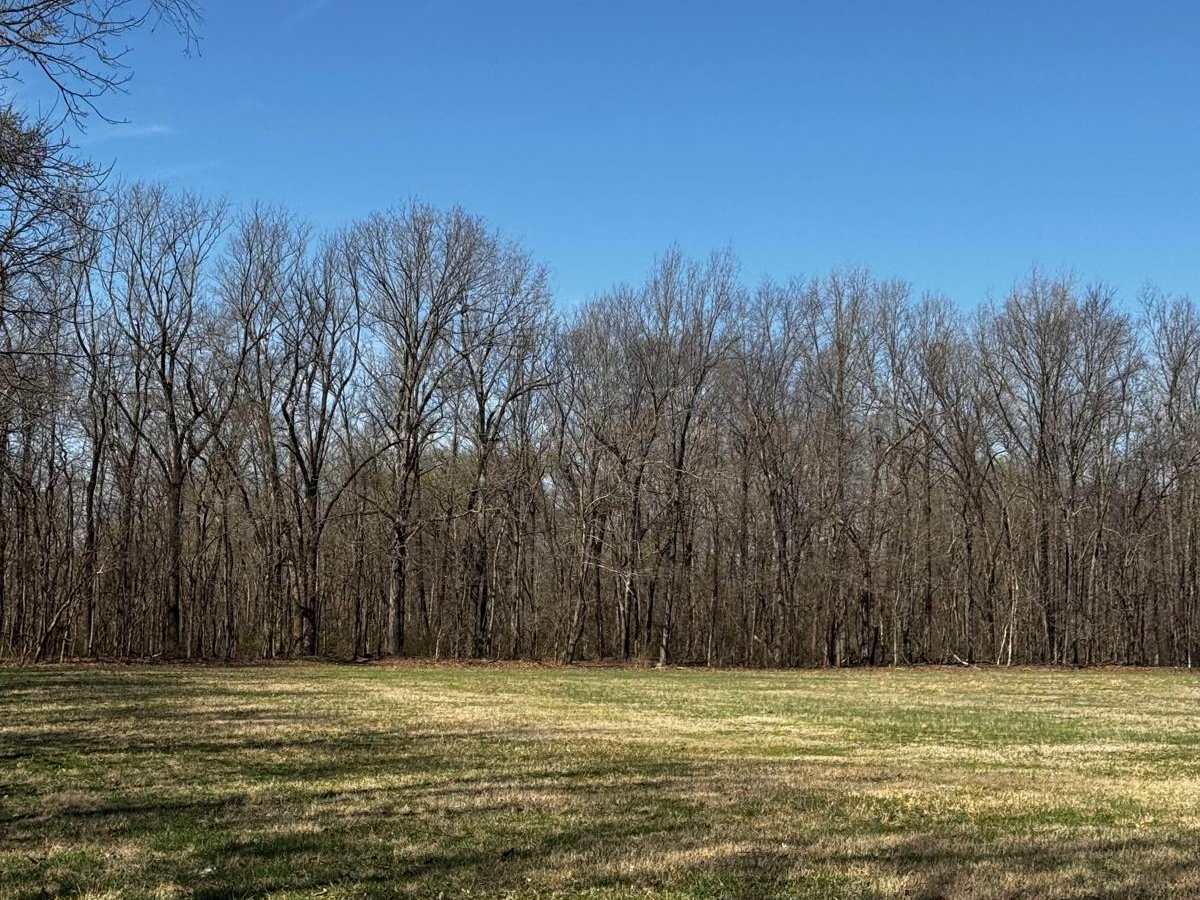 Camp Loop 4 photo 3