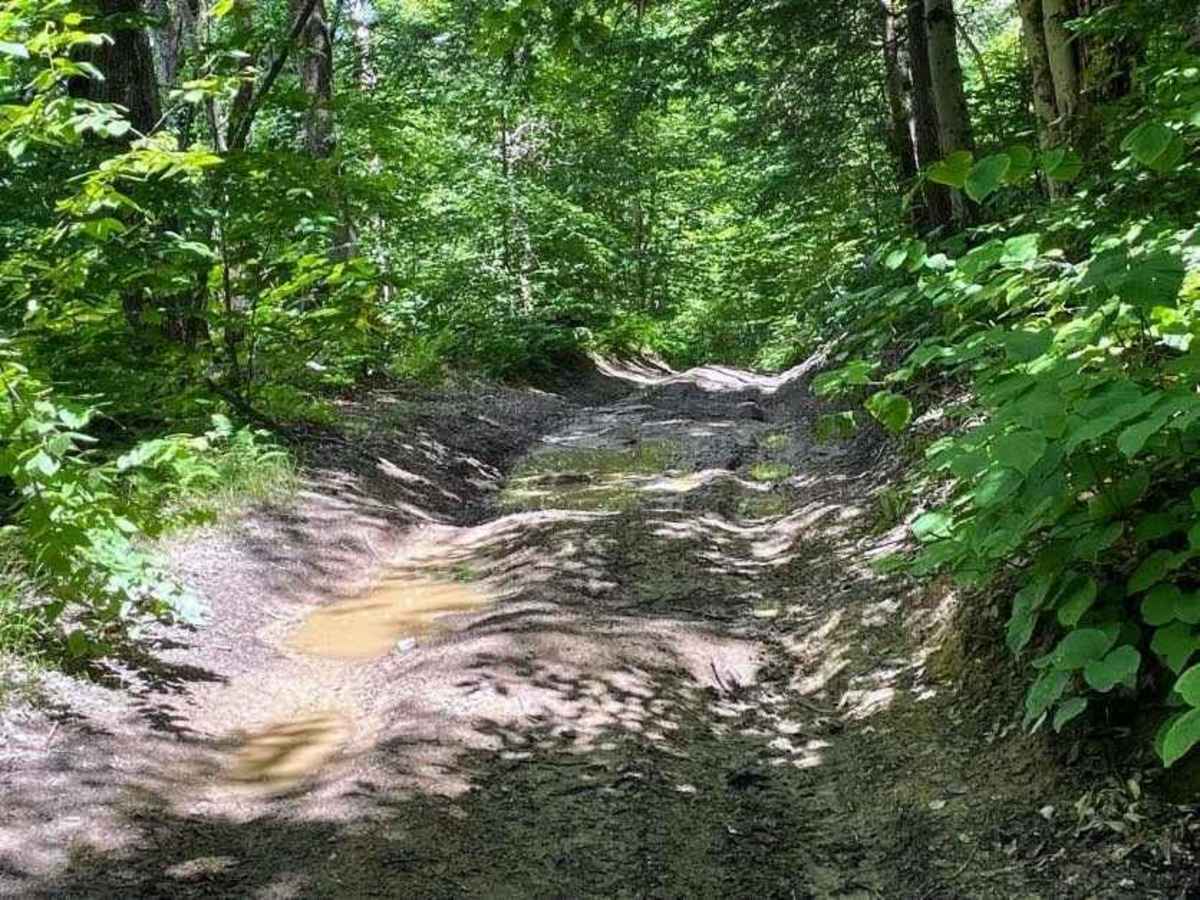 Ashley Lake Road photo 3