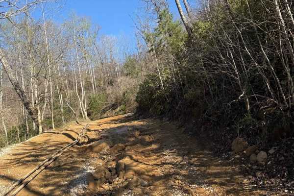 Trail 4A