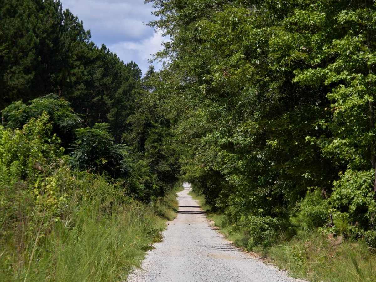 Hamilton Ridge Line Connector photo 4