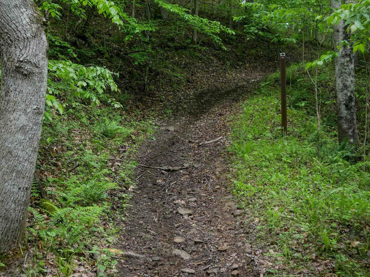 IB 134 trail photo