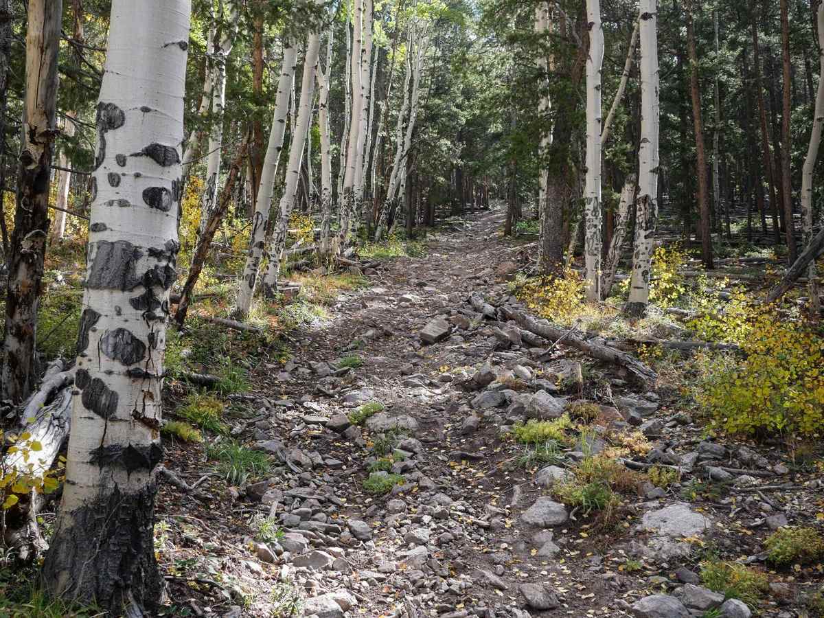 Left Hand ATV Trail photo 5