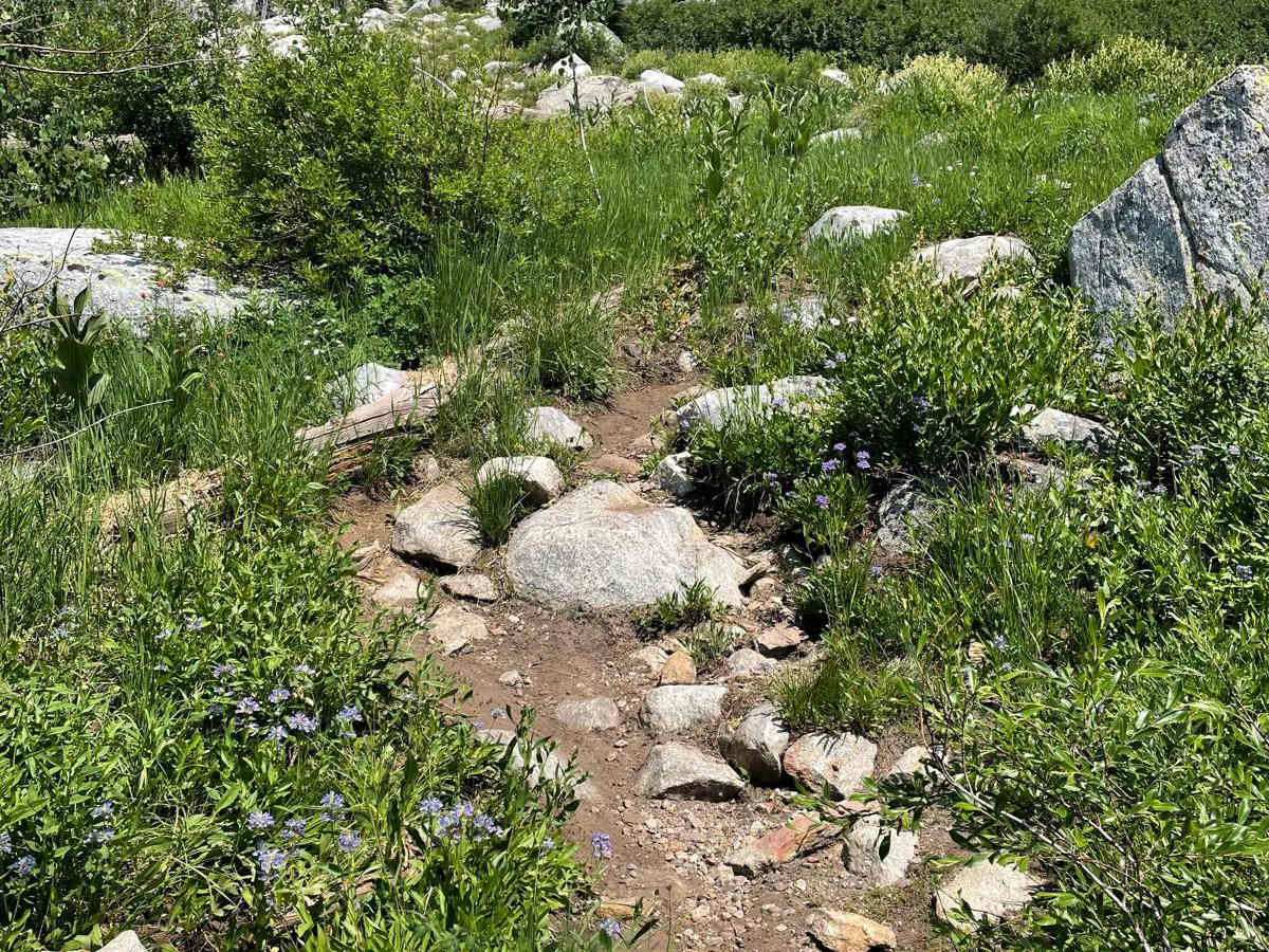 Hard Creek Basin photo 5