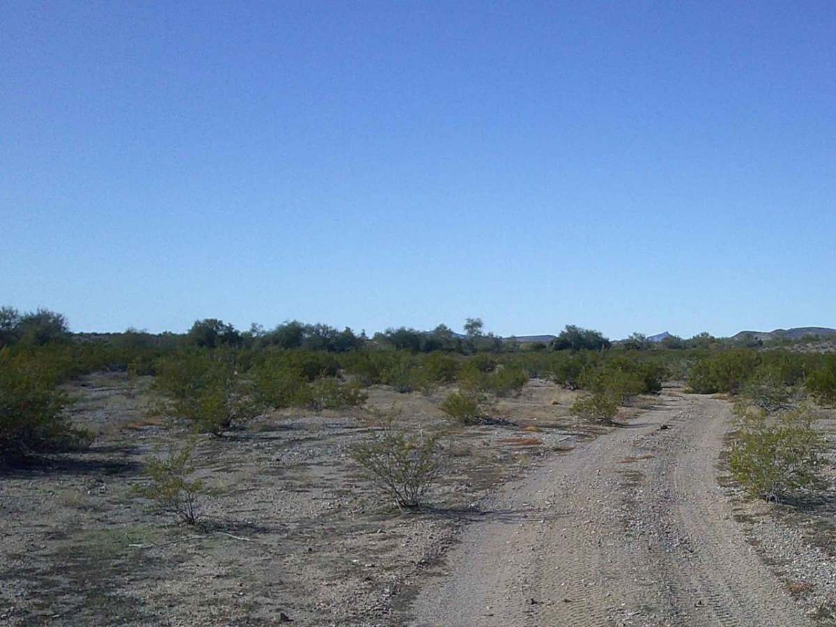 Road 8230 photo 5