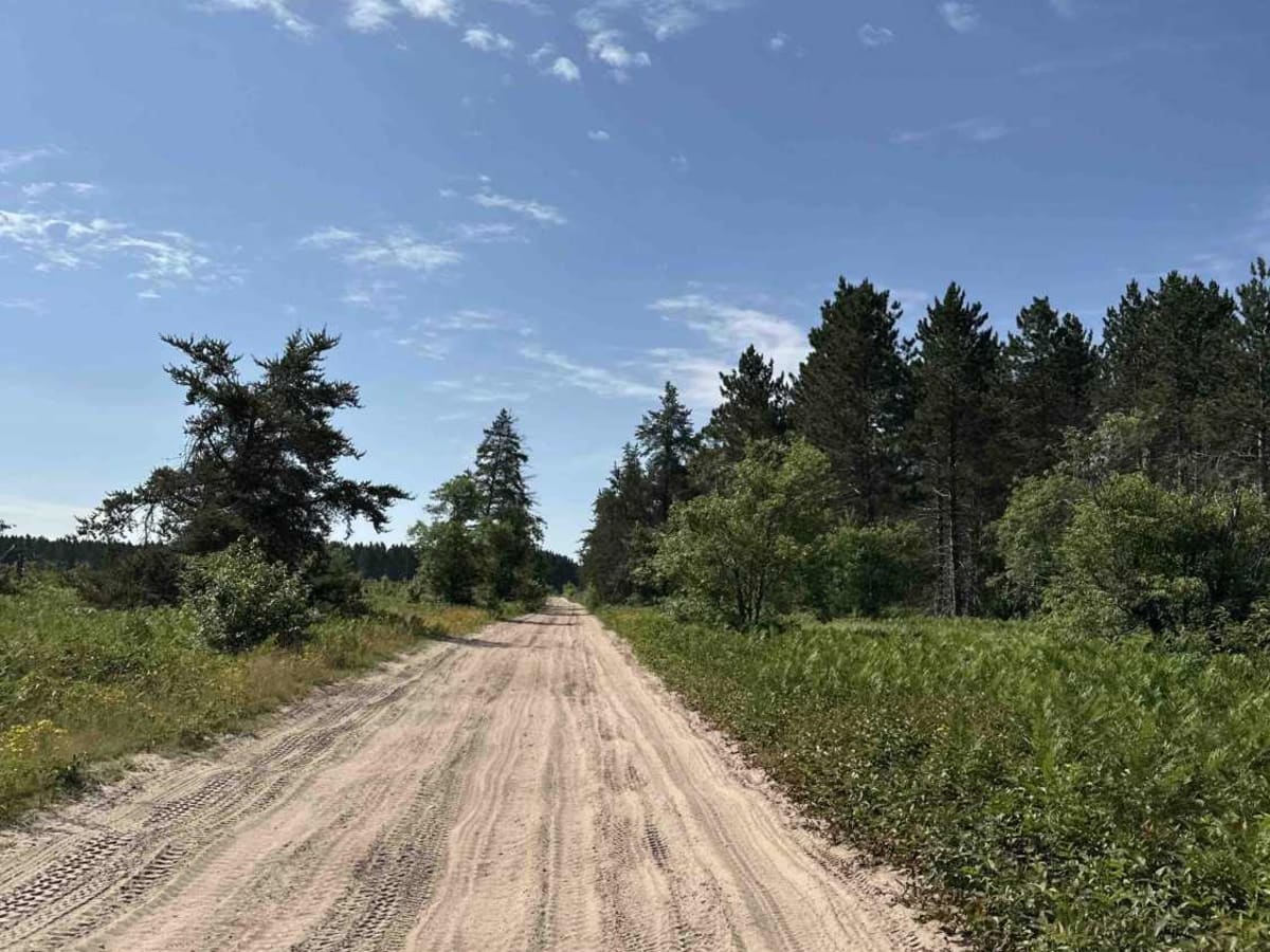 Star Road photo 4