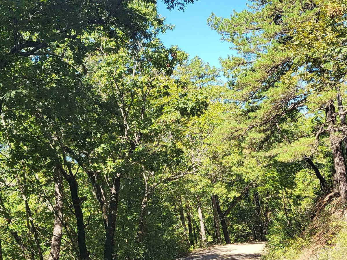 Big Athens Fork photo 6