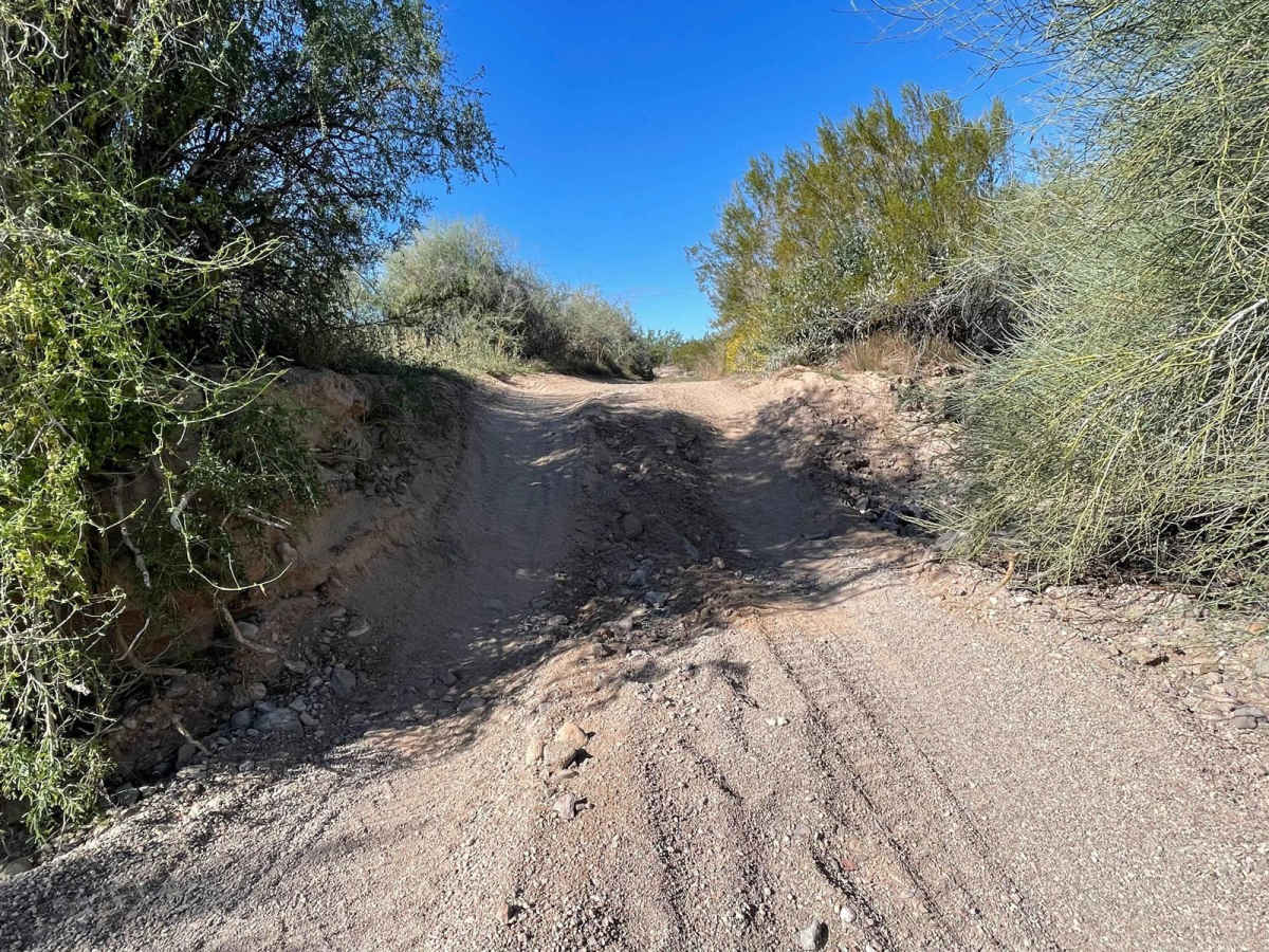 AZ Peace Trail Cactus in the Road to Red Raven photo 4