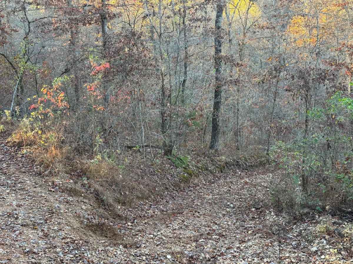 Yellow 154 trail photo