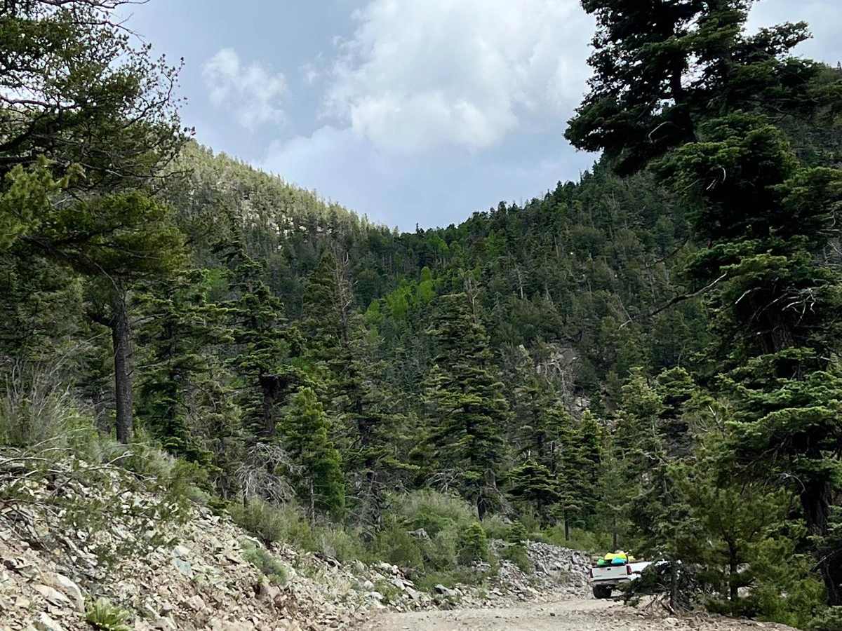 Cabresto Lake - FS 134A photo 6