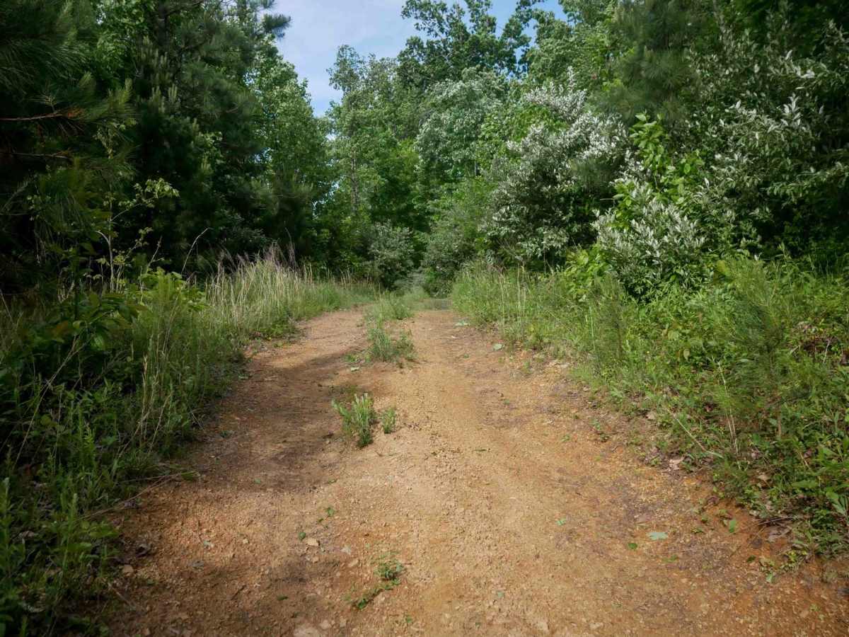 RV26 photo 3