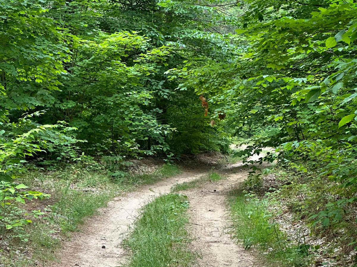 Spear Road/48062 photo 2