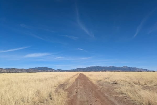 Max Tank Road