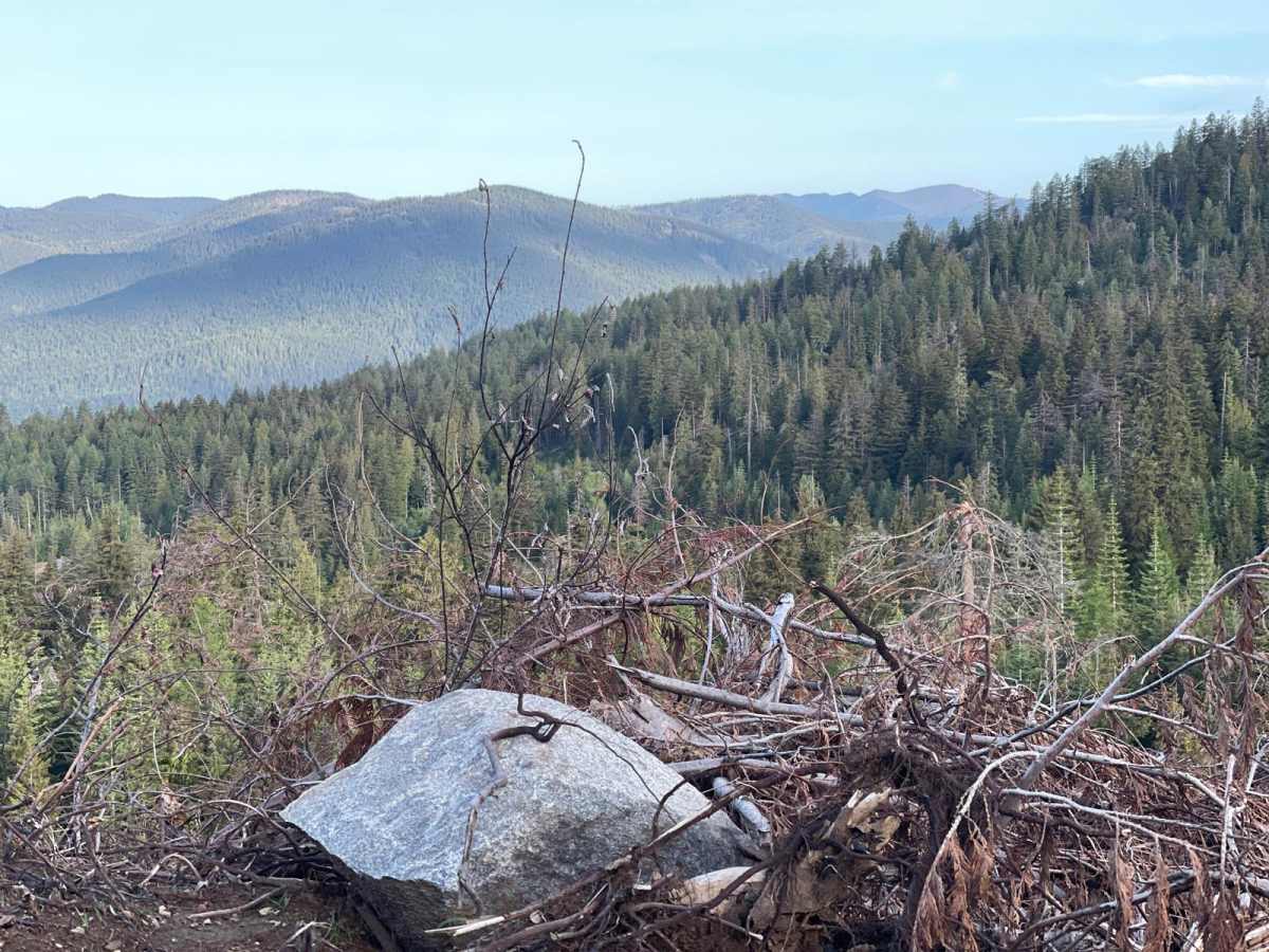 Lucky Creek Road photo 2