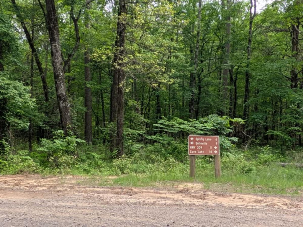 Spring Lake Northern Access Road trail photo
