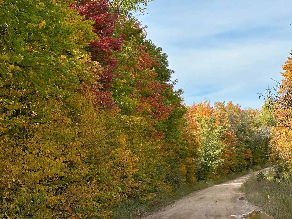Rock River Road photo 5