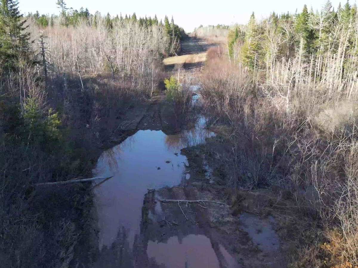 Sunshine Estates Trail photo 3
