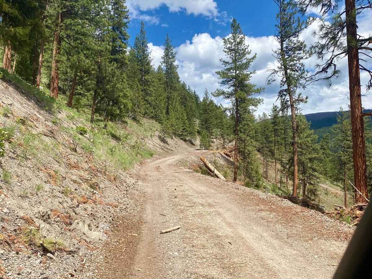 Eddy Creek Road-Deep Creek Road photo 5