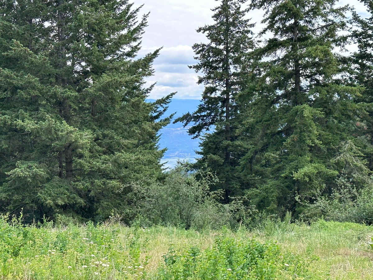 Cain Road photo 3