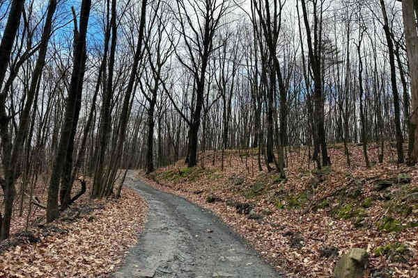 ATV Trail Ho Bot Highway