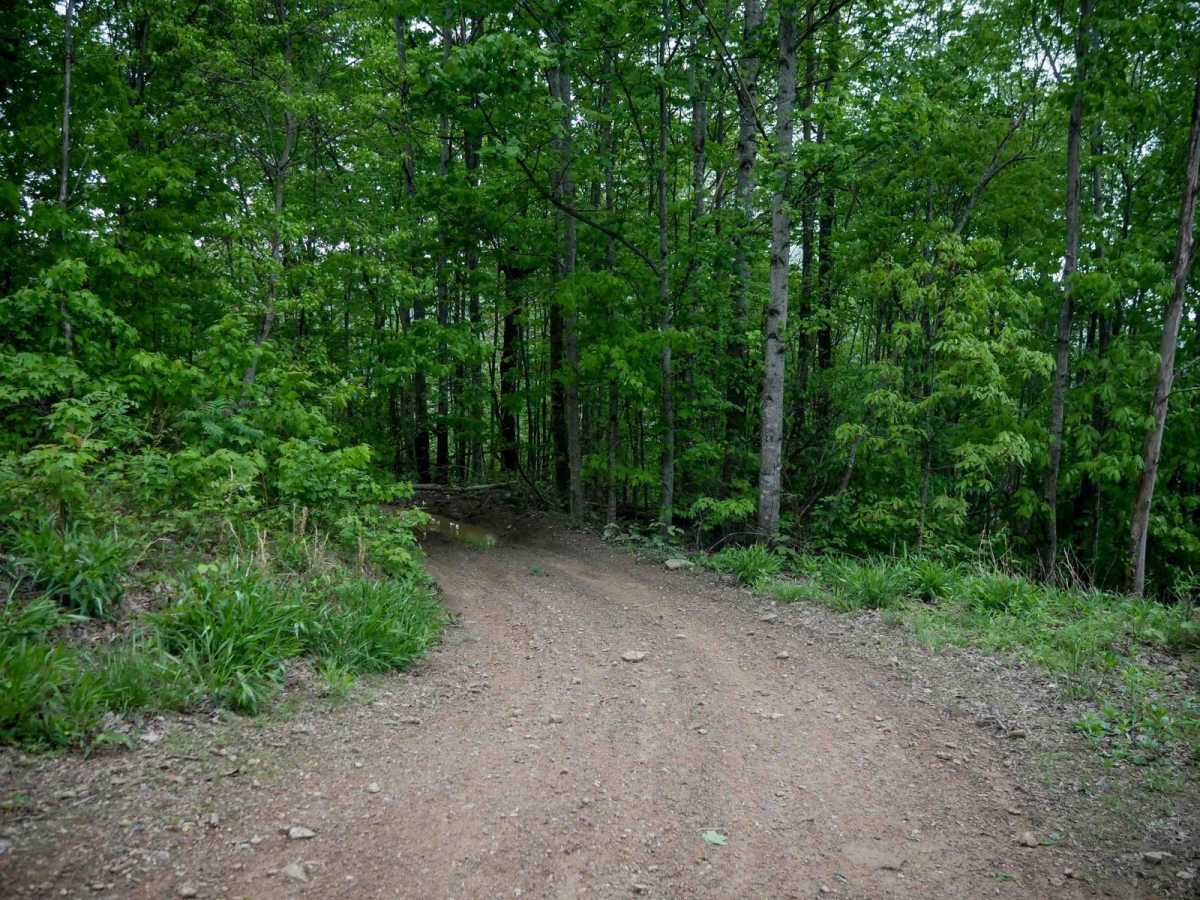 RH 95 photo 6