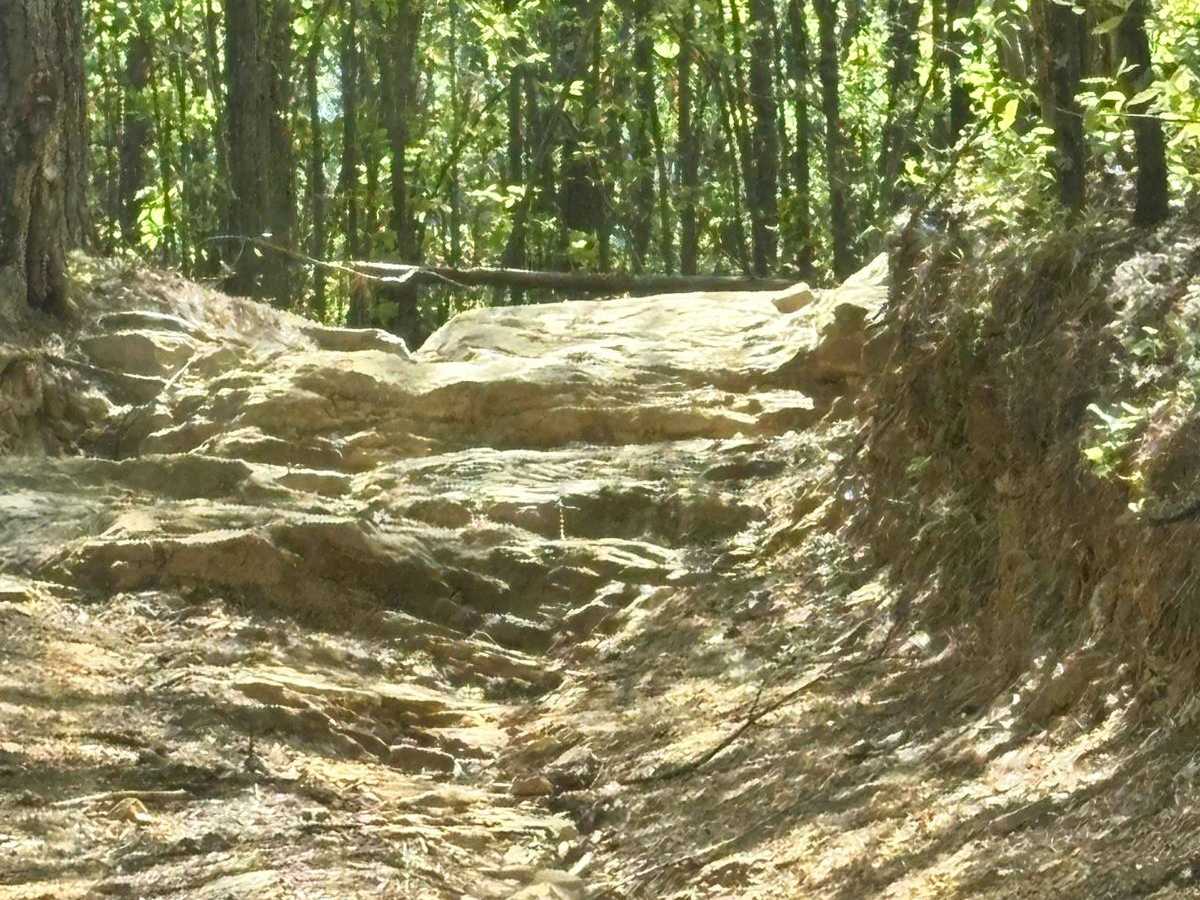 Cell Tower Road photo 3