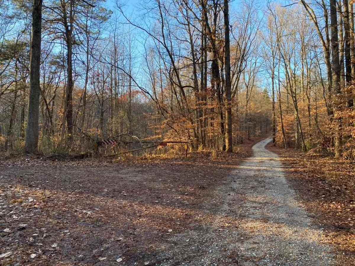 Silica Hill Road SFR 645 photo 4