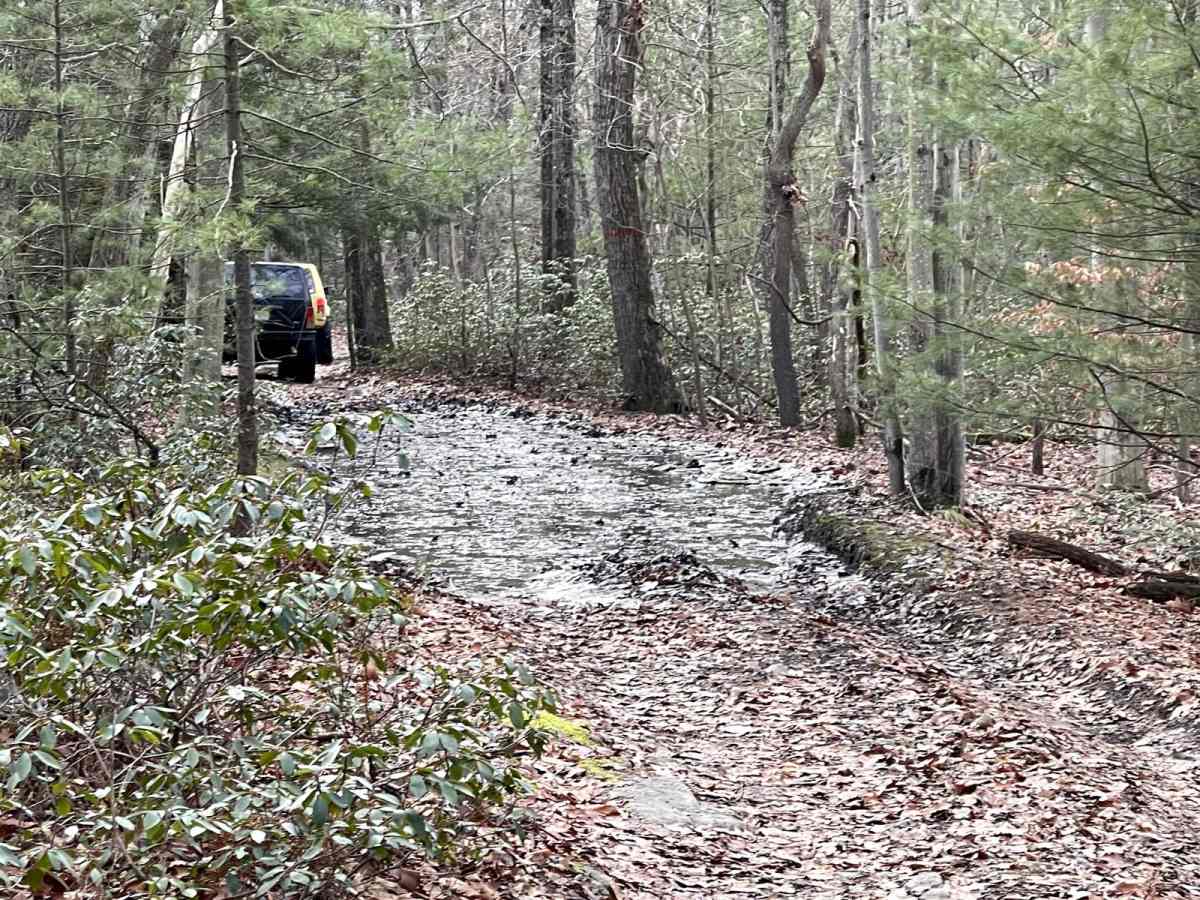 Henstep Valley Trail photo 4