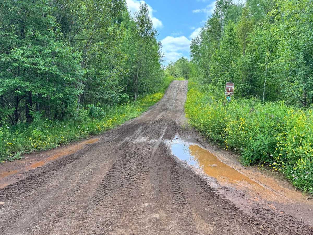 Midway trail photo